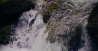 Kış şelalesi bir dağdan aşağı akar, tatlı su ve karla kaplı dağların manzarası ve buzlu ağaçlar, huzurlu ve sakin bir atmosfer yaratır..