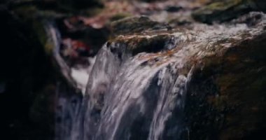 Kış şelalesi bir dağdan aşağı akar, tatlı su ve karla kaplı dağların manzarası ve buzlu ağaçlar, huzurlu ve sakin bir atmosfer yaratır..