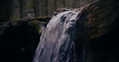 Kış şelalesi bir dağdan aşağı akar, tatlı su ve karla kaplı dağların manzarası ve buzlu ağaçlar, huzurlu ve sakin bir atmosfer yaratır..