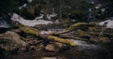 Kış şelalesi bir dağdan aşağı akar, tatlı su ve karla kaplı dağların manzarası ve buzlu ağaçlar, huzurlu ve sakin bir atmosfer yaratır..