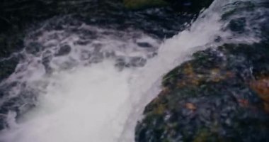 Kış şelalesi bir dağdan aşağı akar, tatlı su ve karla kaplı dağların manzarası ve buzlu ağaçlar, huzurlu ve sakin bir atmosfer yaratır..