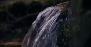 Kış şelalesi bir dağdan aşağı akar, tatlı su ve karla kaplı dağların manzarası ve buzlu ağaçlar, huzurlu ve sakin bir atmosfer yaratır..