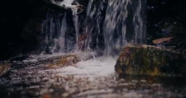 Kış şelalesi bir dağdan aşağı akar, tatlı su ve karla kaplı dağların manzarası ve buzlu ağaçlar, huzurlu ve sakin bir atmosfer yaratır..