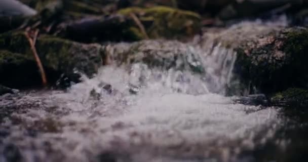 Winter Waterval Stroomt Van Een Berg Met Fris Water Een — Stockvideo