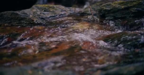 Winter Wasserfall Fließt Einen Berg Hinunter Mit Frischem Wasser Und — Stockvideo