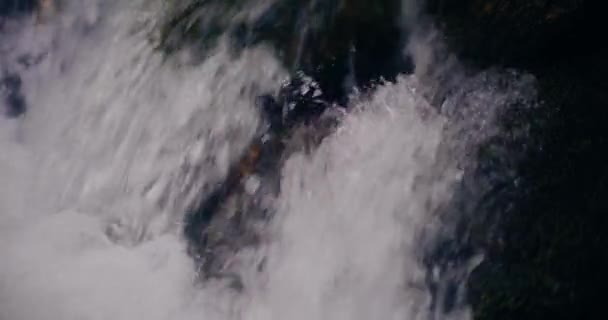 Зимний Водопад Стекает Горы Пресной Водой Живописным Видом Заснеженные Горы — стоковое видео