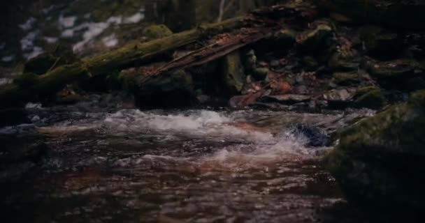 Cascada Invierno Fluye Por Una Montaña Con Agua Dulce Una — Vídeo de stock