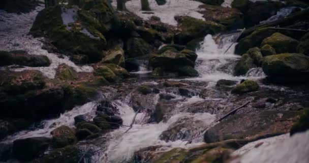 Cascade Hiver Descend Une Montagne Avec Eau Douce Une Vue — Video