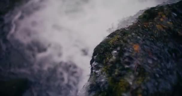 जलप बहत वरण — स्टॉक वीडियो