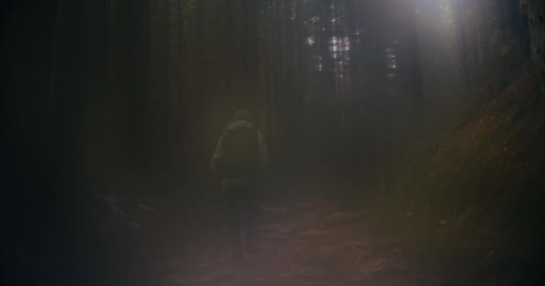 女徒步旅行者在多雾的地形中大步行走 她的脚步声在雾中回荡 — 图库视频影像