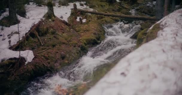 Cascata Invernale Scende Una Montagna Con Acqua Dolce Una Pittoresca — Video Stock
