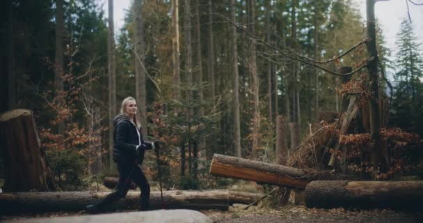 Женщина Любит Скандинавские Прогулки Горах Лесах Ходить Походы Участвовать Мероприятиях — стоковое видео