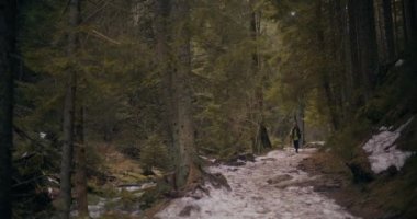 Kadınlar dağlarda ve ormanlarda İskandinav yürüyüşlerini, yürüyüşleri ve açık hava aktivitelerini sever. Formda kalmak ve doğayı keşfetmek için.