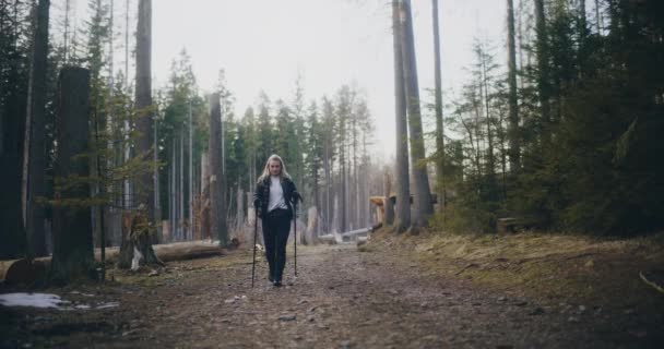 Kobieta Cieszy Nordic Spacery Górach Lasach Dzieje Się Wędrówki Angażuje — Wideo stockowe