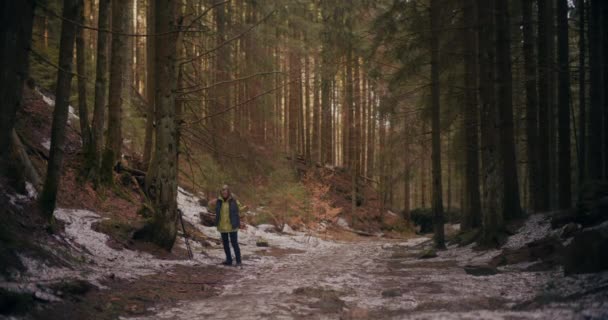 Жінка Захоплюється Скандинавською Ходьбою Горах Лісах Ходить Прогулянки Займається Заняттями — стокове відео