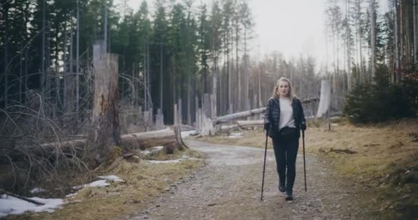 노르딕걷는 즐기고 오르고 자연의 아름다움을 즐기기 활동에 — 비디오