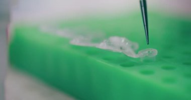 Tıp Laboratuvarında Araştırma Yaparken Yakın Araştırma. Kanser Araştırması Covid 19