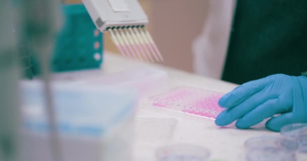 Close Researched Melakukan Penelitian Laboratorium Medis Cancer Research Covid — Stok Video