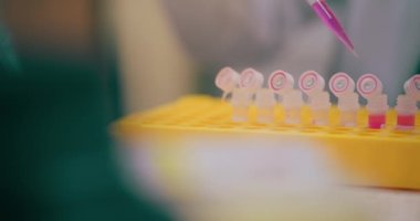 Covid-19, kanser ve grip için aşı geliştirme üzerinde çalışan Sağlık Laboratuvarı Bilimadamı, terapileri ve tedavileri keşfetmek için araştırma, analiz ve testler yapar.. 
