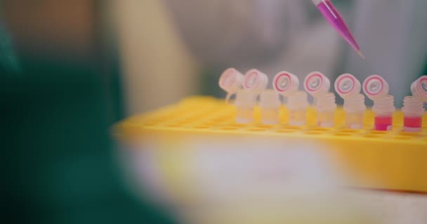 Науковець Лабораторії Охорони Здоров Працює Над Розробкою Вакцини Covid Раку — стокове відео