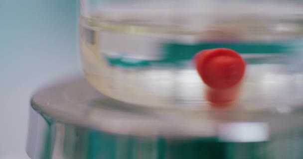 Medial Araştırma Laboratuvarı Analizi Laboratuvarda Çalışan Bilim Adamı Kanser Aşısı — Stok video