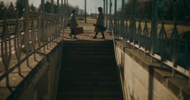 两个朋友赶在火车站赶火车 — 图库视频影像