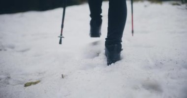 Kuzeyde Kışın Ormanda Yürüyüş Yürüyüşü Yürüyüşü