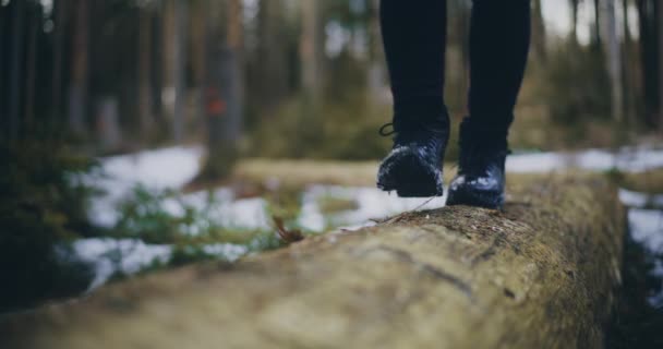 森林中的远足者在树桩上行走的特写 — 图库视频影像