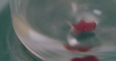 Tıbbi aşının laboratuvar ekipmanlarına karıştırılması, güvenli ve etkili bir aşı üretmek için çeşitli bileşenlerin dikkatli bir şekilde harmanlanmasını içerir.
