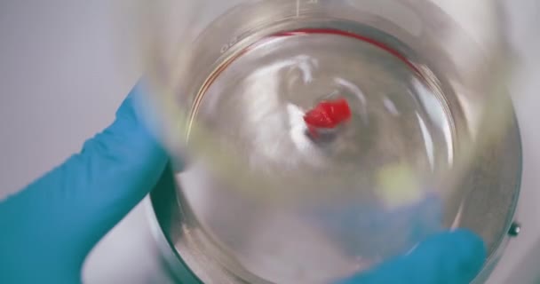 Orvosi Vakcina Keverése Laboratóriumi Berendezésekben Magában Foglalja Különböző Összetevők Gondos — Stock videók