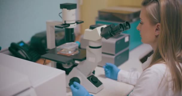 Науковець Науковець Працює Лабораторії Пандемія Вакцина Соціальна Дистанційна Концепція Вакцинація — стокове відео