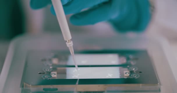 Investigador Científico Trabajando Laboratorio Vacuna Pandémica Concepto Distanciamiento Social Vacunación — Vídeo de stock