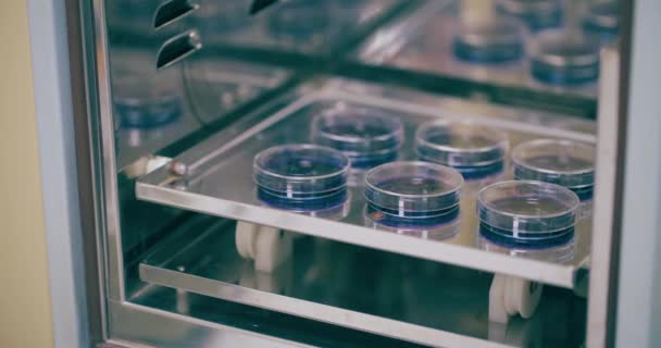 Ученый Исследователь Работающий Лаборатории Пандемическая Вакцина Концепция Социального Дистанцирования Вакцинация — стоковое видео