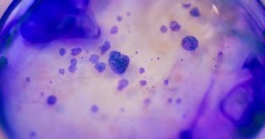 Laboratuvarda çalışan araştırmacı bilim adamı, Salgın Aşı, Sosyal Mesafe Konsepti, Delta Çeşitliliği Aşısı.