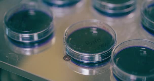 在实验室工作的科学家 大流行病疫苗 社会疏远概念 德尔塔变异疫苗接种 — 图库视频影像