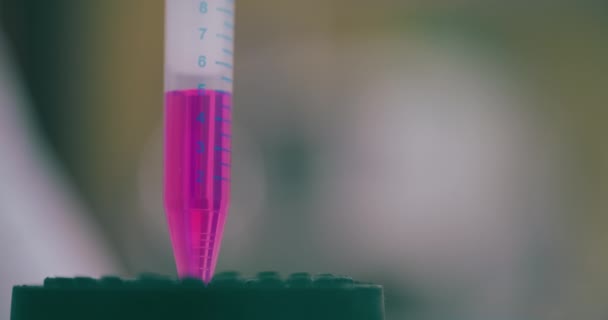 Laboratuvarda Çalışan Araştırmacı Bilim Adamı Salgın Aşı Sosyal Mesafe Konsepti — Stok video