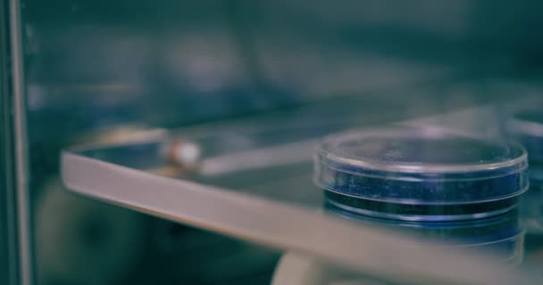 Wissenschaftlicher Mitarbeiter Labor Pandemie Impfstoff Soziales Distanzierungskonzept Impfung Gegen Delta — Stockvideo