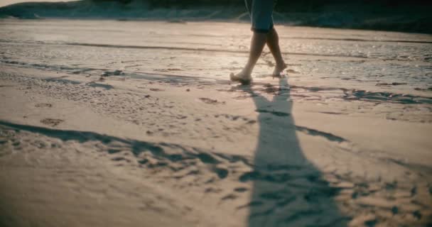孤独的概念 在干河上行走的人 — 图库视频影像