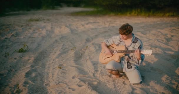 正のハッピーマン夏の夕暮れでギターを演奏 調和とケアの概念 Inspiring — ストック動画