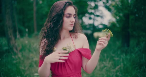 Portrét Smutné Melancholické Pensive Woman Posing Forest Přijímání Autenticity — Stock video