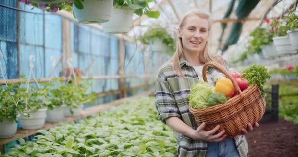 Gülümseyen Genç Kadın Çiftçi Çeşitli Organik Sebzeler Serada Sepetlendi — Stok video