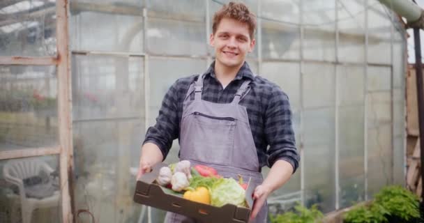 Portret Uśmiechniętego Młodego Rolnika Zebranymi Organicznymi Warzywami Tacy Stojącej Przed — Wideo stockowe