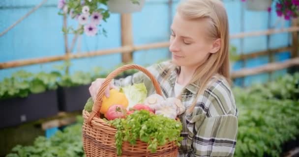 Медленное Движение Улыбающегося Фермера Держащего Собранные Органические Овощи Корзине Теплице — стоковое видео