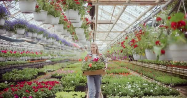 温室を歩きながら新鮮な植物を運ぶ若い女性農夫の笑顔のゆっくりとした動き — ストック動画