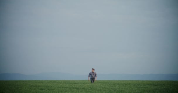 年轻男性农民在与天空相对的农业景观中与植物同行的慢动作 — 图库视频影像