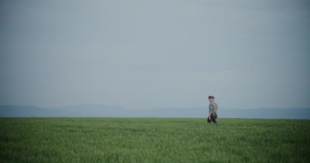 年轻男性农民在与天空相对的农业景观中与植物同行的慢动作 — 图库视频影像