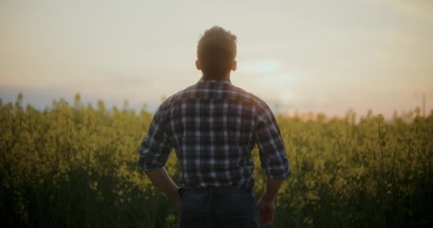 Οπίσθια Όψη Αρσενικού Γεωργού Που Κοιτάζει Θέα Ενώ Στέκεται Στο — Αρχείο Βίντεο