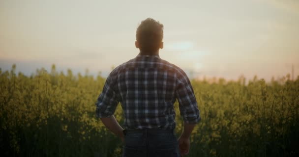 Erkek Çiftçinin Gün Batımında Çiftlikte Dikilirken Görüntüsü — Stok video