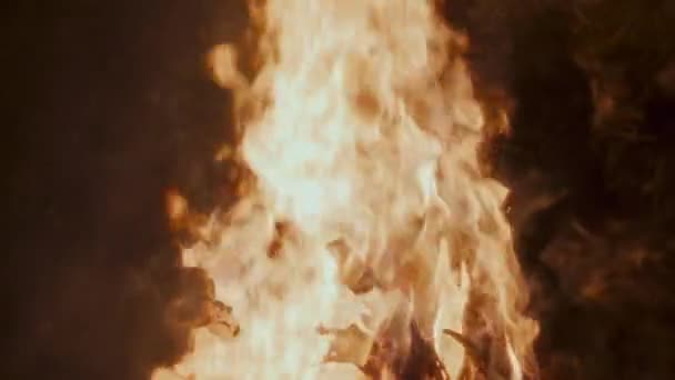 Горящий Пожар Каминной Печи — стоковое видео