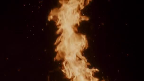 Płonący Ogień Przy Zwolnieniu Kominka — Wideo stockowe